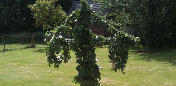 midsommar2011